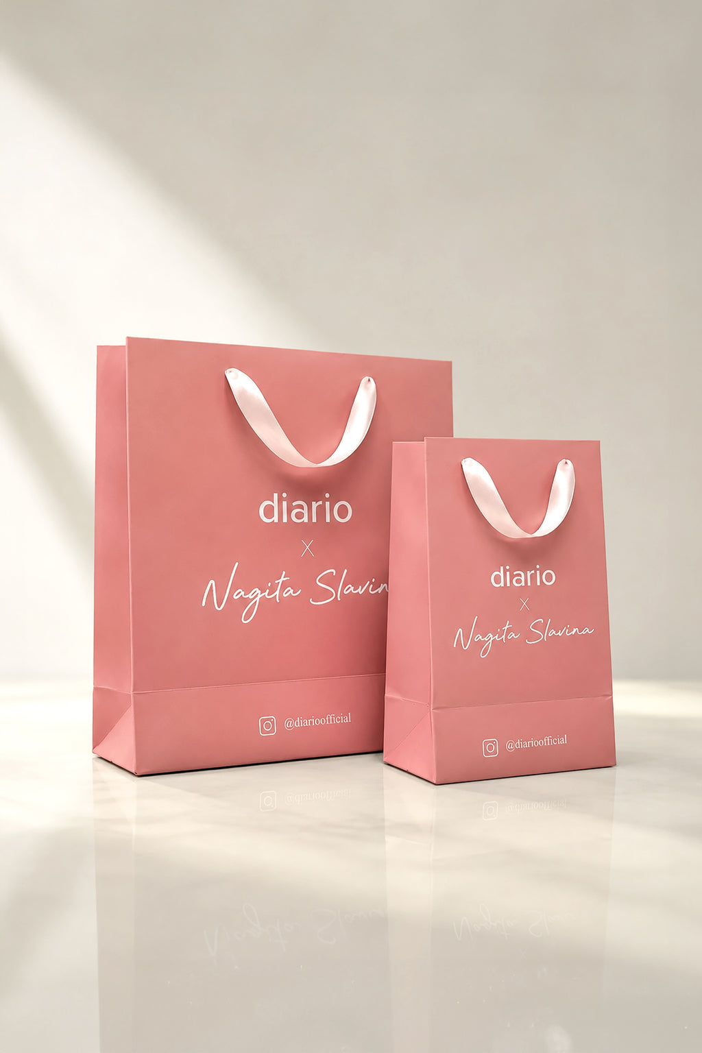 Paper Bag Diario x Nagita Slavina
